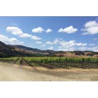 Santa Barbara Wine Lovers Tour