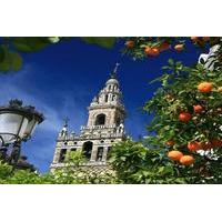 Santa Cruz Quarter and Cathedral Guided Day Tour in Seville