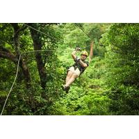 sarapiqui river sightseeing cruise and zipline canopy tour from san jo ...