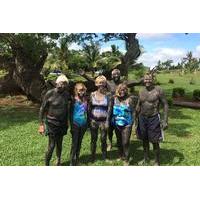 Sabeto Mud Baths and Garden of the Sleeping Giant Private Tour