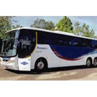 Salvador Airport Roundtrip Trans...