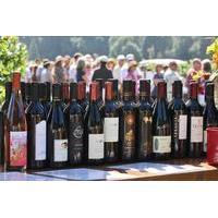 San Francisco to Wine Country Small Group Tour