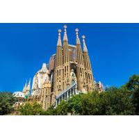 sagrada familia afternoon tour with optional towers access