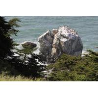 San Francisco\'s Spectacular Lands End