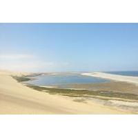 Sandwich Harbour Day Tour from Walvis Bay