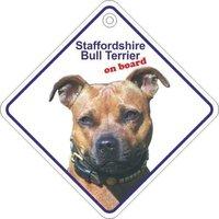 Saffordshire Bull Terrier