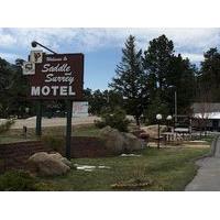 Saddle & Surrey Motel