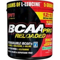 S.A.N. BCAA Pro Reloaded Powder 456 Grams Watermelon