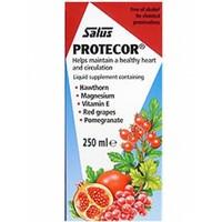 Salus Protecor Liquid Supplement 250ml