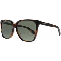 Saint Laurent SL175 002 Havana