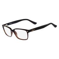 salvatore ferragamo eyeglasses sf 2733 210