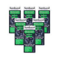Sambucol Immuno Forte Sugar Free 120ml - 6 Pack