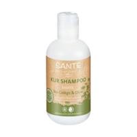 sante family kur shampoo organic ginko olive 200ml