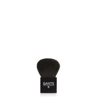Sante Powder Brush