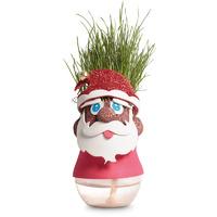 Santa Grasshead