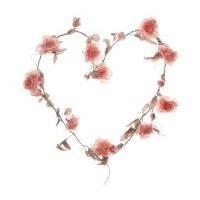 Sass & Belle Vintage Pink Artificial Rose Garland 165 cm