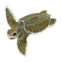 safari kemps ridley sea turtle baby 267429
