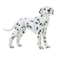 Safari Dalmatian (239529)
