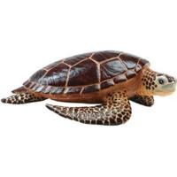 safari sea turtle 260429