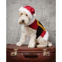 Santa Dog Coat & Hat in Special DK and Eskimo DK (9310)