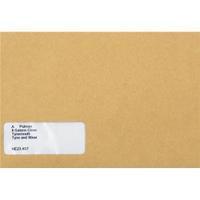 Sage SE47 140mm x 220mm Compatible Wage Envelopes 90gm2 Self-Seal