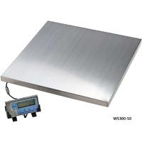 Salter Stainless Steel Platform Scales 300kg 550mm x 550mm platform (no cert)