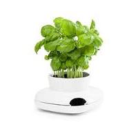 sagaform herb pot small