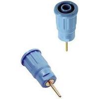 Safety jack socket Socket, vertical vertical Pin diameter: 4 mm Green MultiContact SEB4-R 1 pc(s)