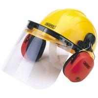 Safety Helmet/ear Def/visor