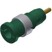 Safety jack socket Socket, vertical vertical Pin diameter: 2 mm Green SKS Hirschmann MSEB 2630 S 1, 9 Au 1 pc(s)