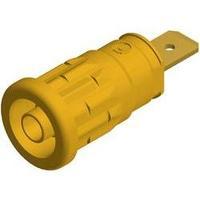 Safety jack socket Socket, vertical vertical Pin diameter: 4 mm Yellow SKS Hirschmann SEP 2620 F6.3 1 pc(s)