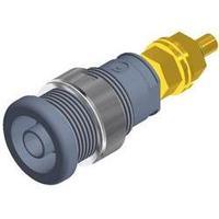 Safety jack socket Socket, vertical vertical Pin diameter: 4 mm Grey SKS Hirschmann SEB 2600 G M4 1 pc(s)