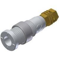 Safety jack socket Socket, vertical vertical Pin diameter: 2 mm White SKS Hirschmann MSEB 2600 G M3 Au 1 pc(s)