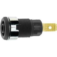 safety jack socket socket vertical vertical pin diameter 4 mm black mu ...