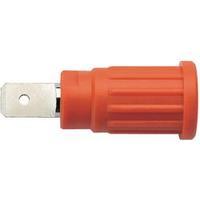 Safety jack socket Socket, vertical vertical Pin diameter: 4 mm Red Schützinger SEPB 6453 / RT 1 pc(s)