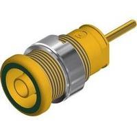 Safety jack socket Socket, vertical vertical Pin diameter: 4 mm Green-yellow SKS Hirschmann SEB 2610 F6.3 1 pc(s)