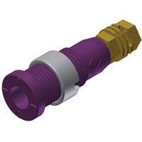 Safety jack socket Socket, vertical vertical Pin diameter: 2 mm Violet SKS Hirschmann MSEB 2600 G M3 Au 1 pc(s)