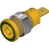 Safety jack socket Socket, vertical vertical Pin diameter: 4 mm Green-yellow SKS Hirschmann SEB 2610 F6.3 1 pc(s)