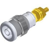 Safety jack socket Socket, vertical vertical Pin diameter: 4 mm White SKS Hirschmann SEB 2600 G M4 1 pc(s)