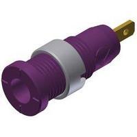 Safety jack socket Socket, vertical vertical Pin diameter: 2 mm Violet SKS Hirschmann MSEB 2610 F 2, 8 Au 1 pc(s)