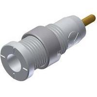 Safety jack socket Socket, vertical vertical Pin diameter: 2 mm White SKS Hirschmann MSEB 2630 S 1, 9 Au 1 pc(s)