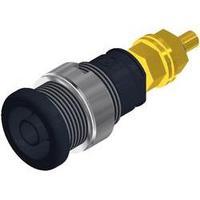 Safety jack socket Socket, vertical vertical Pin diameter: 4 mm Black SKS Hirschmann SEB 2600 G M4 1 pc(s)