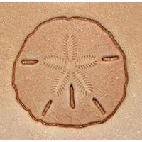 Sand Dollar Craftool 3-d Stamp Item #8681-00 By Tandy Leather