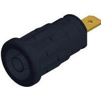 Safety jack socket Socket, vertical vertical Pin diameter: 4 mm Black SKS Hirschmann SEP 2610 F4.8 1 pc(s)