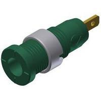 Safety jack socket Socket, vertical vertical Pin diameter: 2 mm Green SKS Hirschmann MSEB 2610 F 2, 8 Au 1 pc(s)