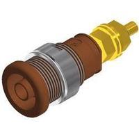 Safety jack socket Socket, vertical vertical Pin diameter: 4 mm Brown SKS Hirschmann SEB 2600 G M4 1 pc(s)