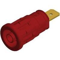 Safety jack socket Socket, vertical vertical Pin diameter: 4 mm Red SKS Hirschmann SEP 2620 F6.3 1 pc(s)