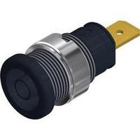 Safety jack socket Socket, vertical vertical Pin diameter: 4 mm Black SKS Hirschmann SEB 2610 F6.3 1 pc(s)