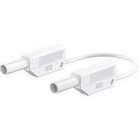 Safety test lead [ Banana jack 4...