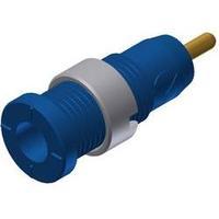 Safety jack socket Socket, vertical vertical Pin diameter: 2 mm Blue SKS Hirschmann MSEB 2630 S 1, 9 Au 1 pc(s)